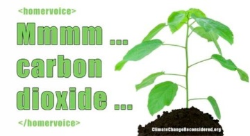 Plants Love CO2